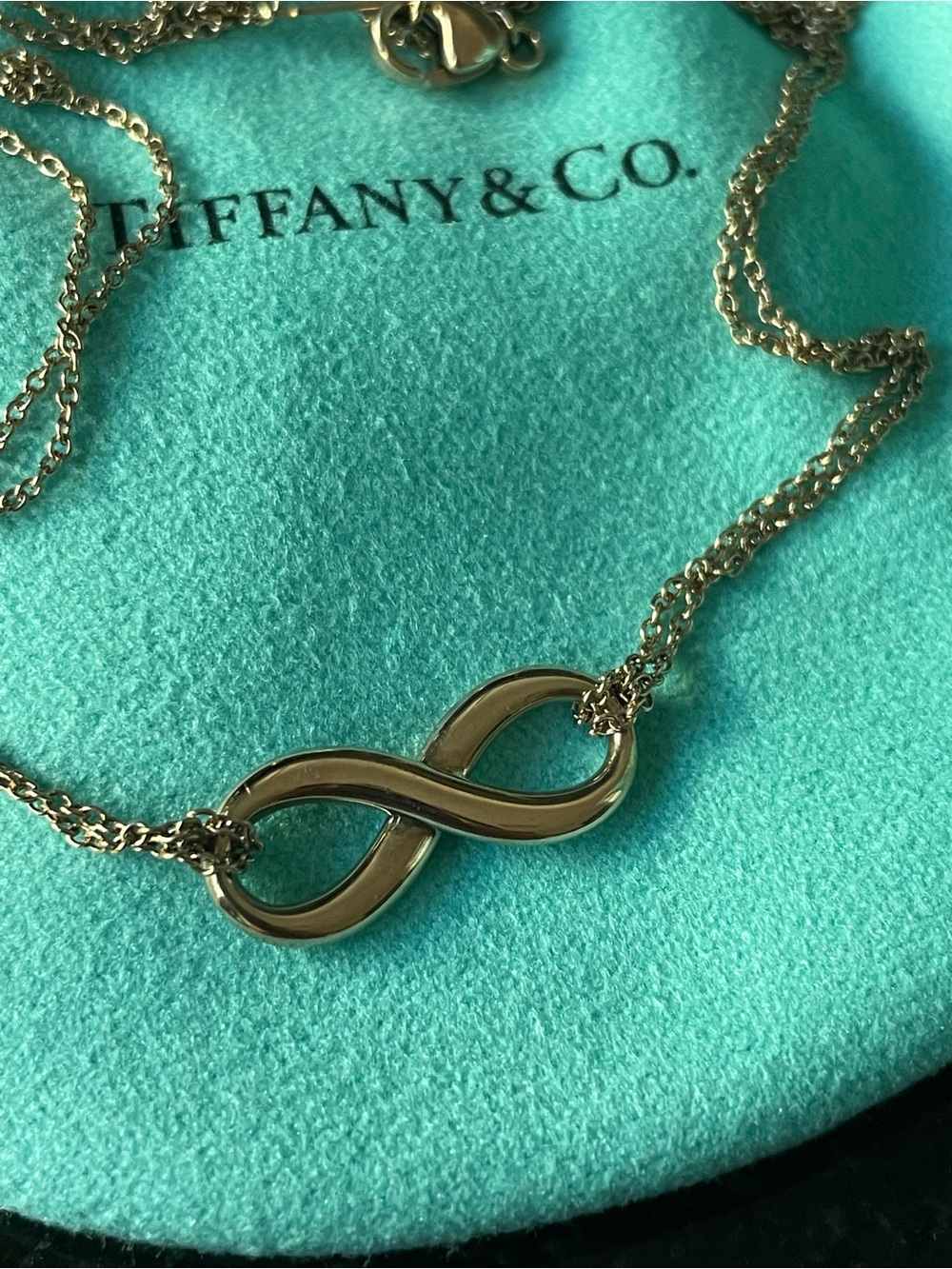 Tiffany & Co. Infinity Rubedo Pendant Necklace - Picture 5 of 5